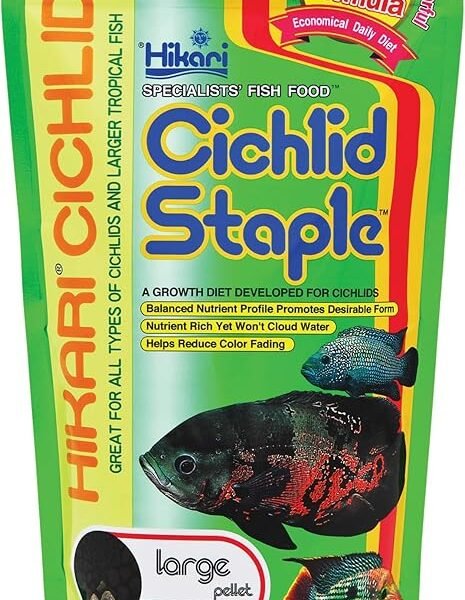 Hikari Cichlid Staple Floating Pellets Fish Food Large Pellets 8.8 oz (250g)