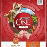 Purina ONE Plus Healthy Weight High-Protein Dry Dog Food 16.5 lb
