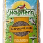 Wagner 52023 Black Oil Sunflower Seed Wild Bird Food 5lb Bag