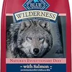 Blue Buffalo Wilderness Adult High-Protein Dry Dog Food, Natural Salmon with Wholesome Grains